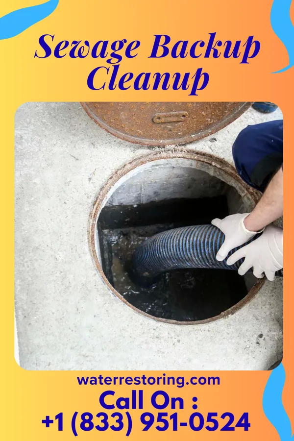 Sewage Backup Cleanup in Cascades, VA