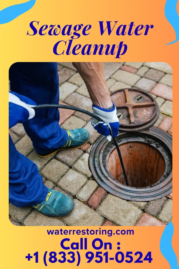 Sewage Water Cleanup in Cascades, VA